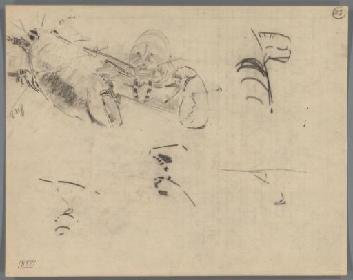 Study of the Cephalothorax of a Lobster