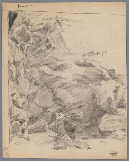 Study of an aquarium