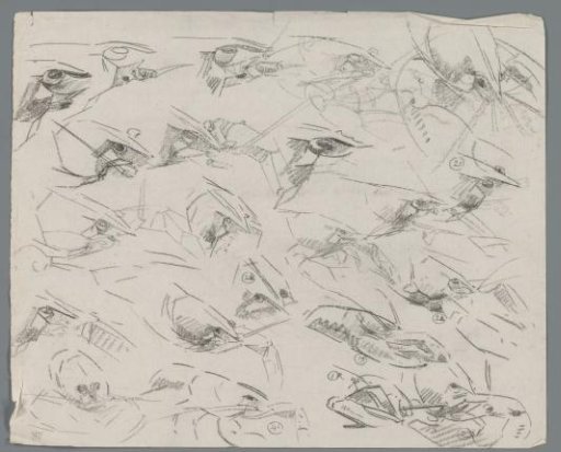 Study sheet with crayfish