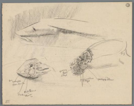 Studies of Crabs