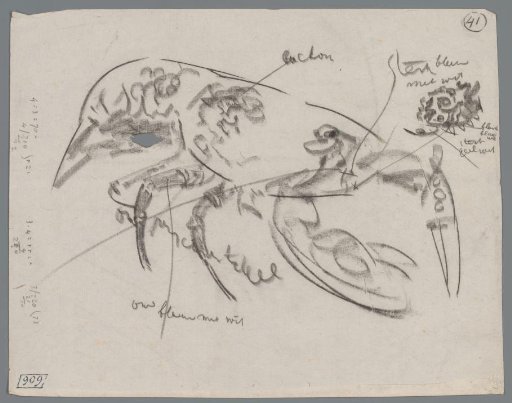 Study of a Lobster