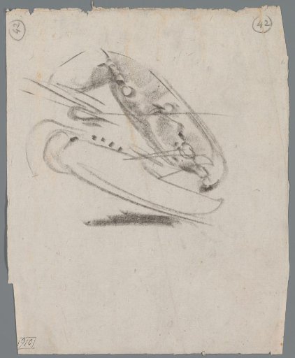 Study of the Claws of a Lobster