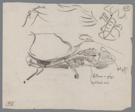 Studies of Lobsters