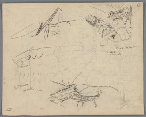 Studies of Crabs