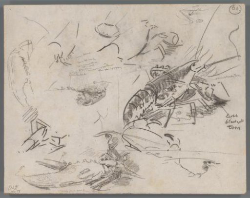Studies of parts of lobsters