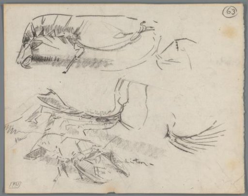 Studies of lobsters