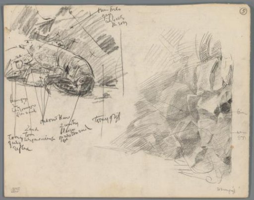Studies of Crabs