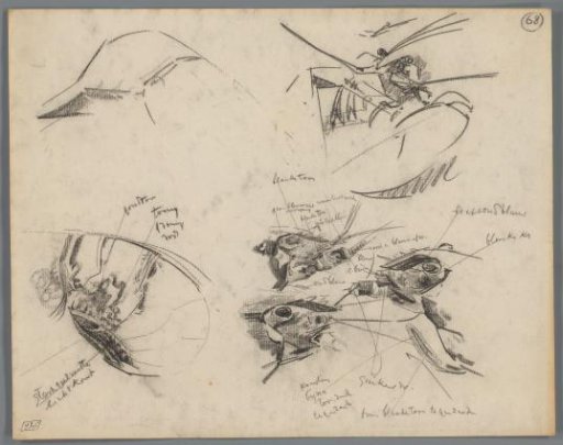 Studies of the head of a lobster