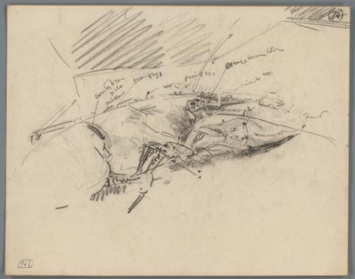 Study of a lobster