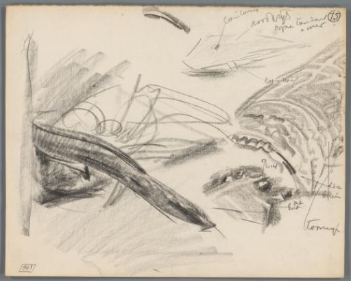 Study of the claw and abdomen of a lobster
