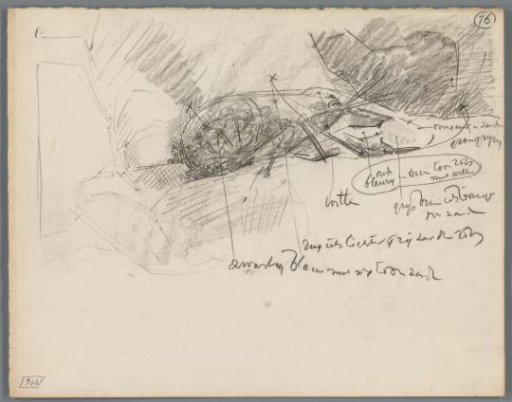 Study of a lobster