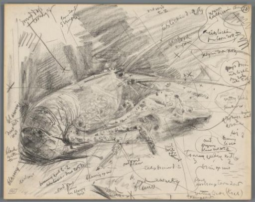 Study of a lobster