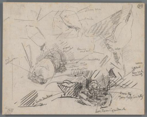 Studies of a lobster