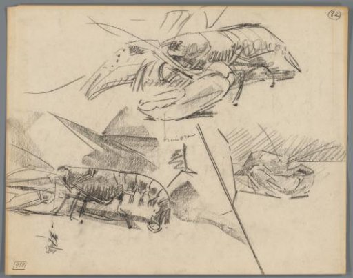 Studies of lobsters