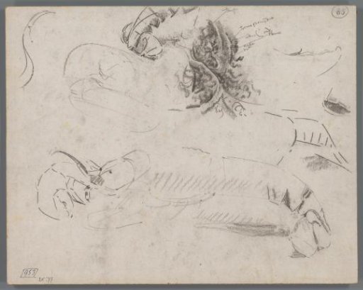 Studies of lobsters
