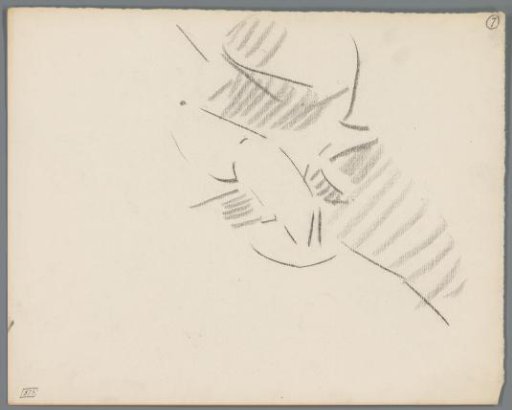 Study of the Thorax and Abdomen of a Crab