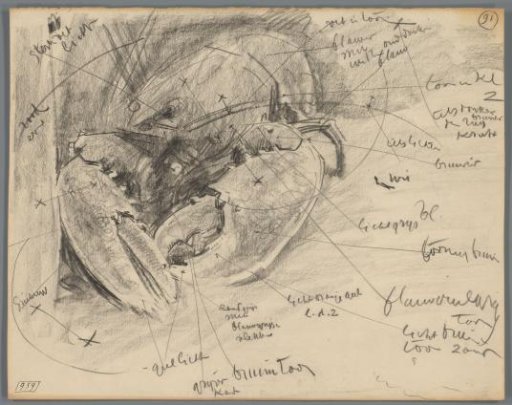 Study of a lobster