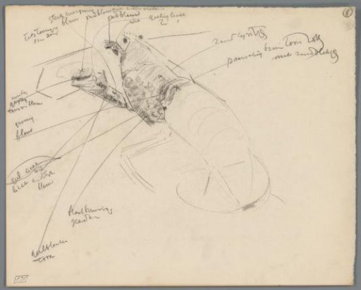 Study of a Crab
