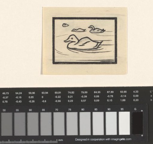 Ducks in the Water