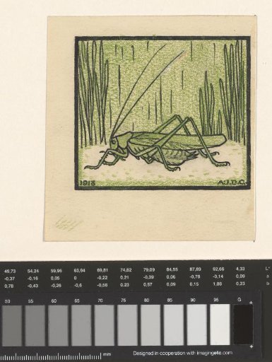Grasshopper