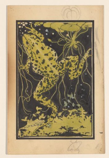 Frog in the water