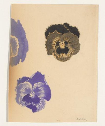 Violets