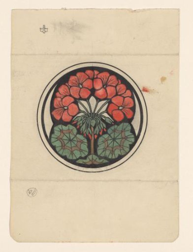 Geranium