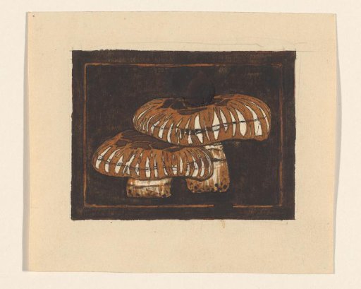 Two mushrooms