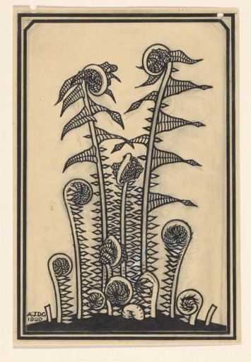 Ferns