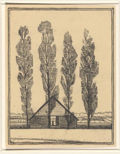 Four poplars in front of a house