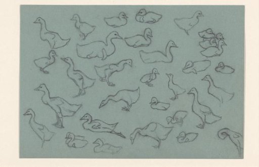 Study Sheet with Ducks