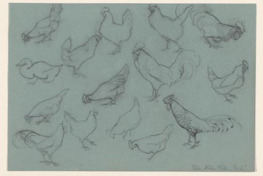 Study Sheet with Chickens