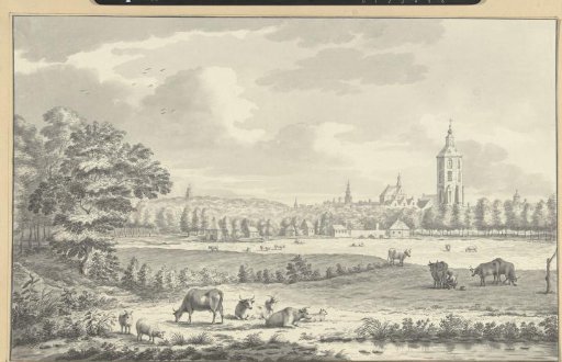 View over meadows towards a city