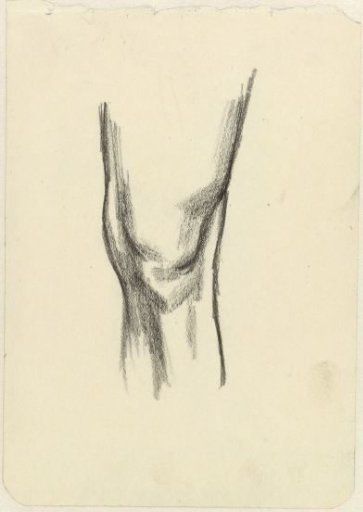 Study of a Knee