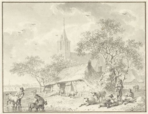 Sheep Shearers
