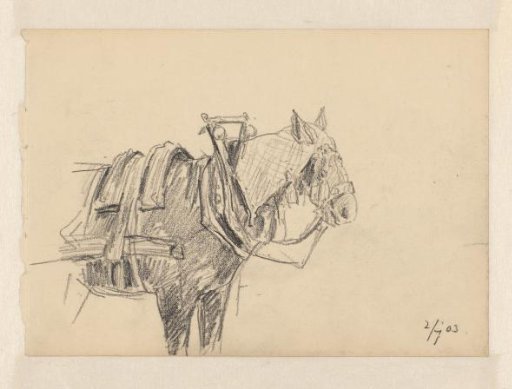 Harnessed Cart Horse
