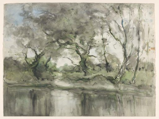 Trees by the water's edge