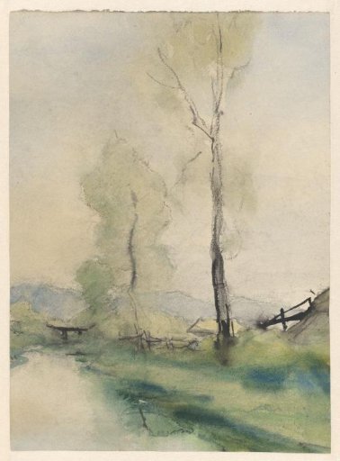 Poplars by a stream