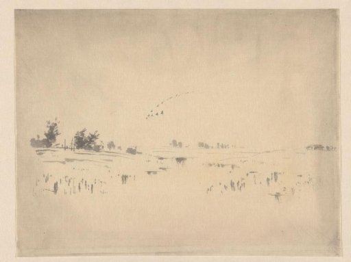 Landscape near Arnemuiden