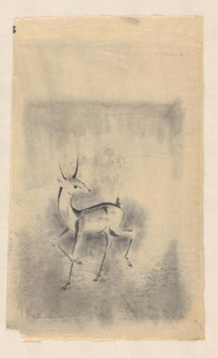 Roe deer