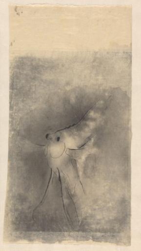 Moonfish