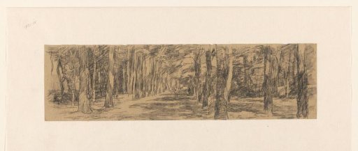 View in an Avenue