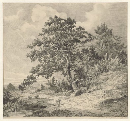 Landscape with tree