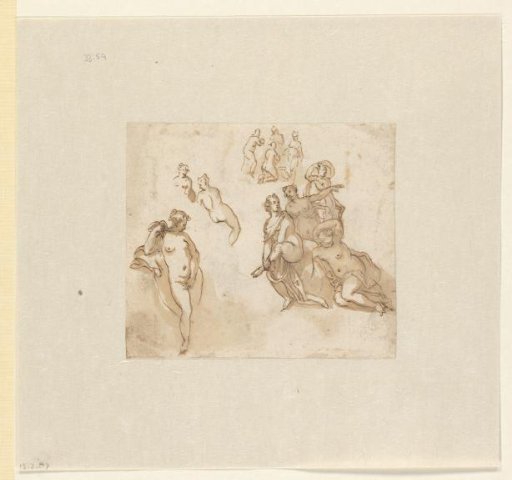Studies of female