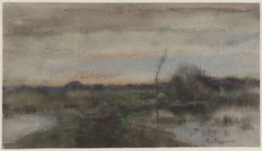 Marsh landscape with sunset