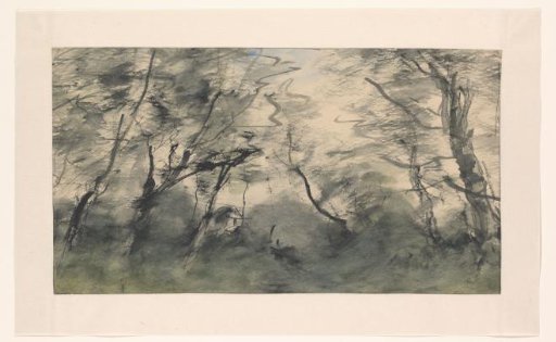 Edge of the forest