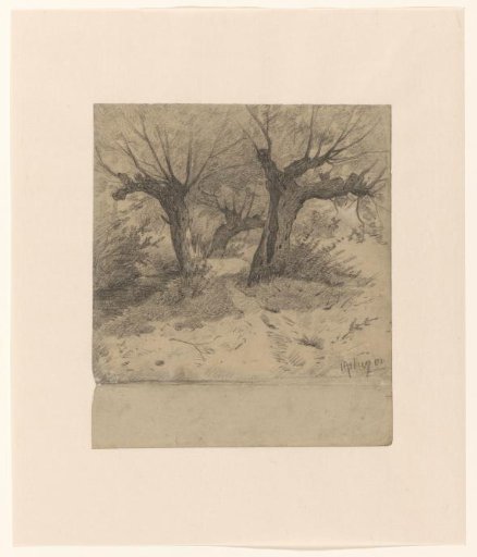 Wooded landscape