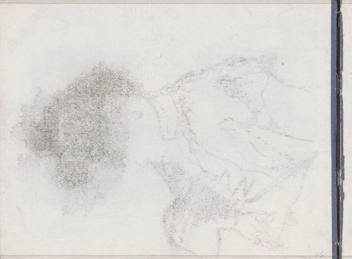 Rubbing of the Chalk Drawing on Sheet 6 Recto