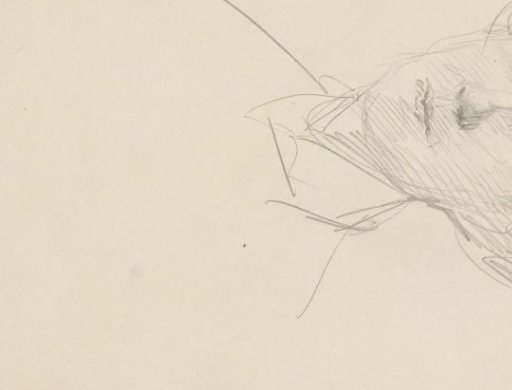Female head