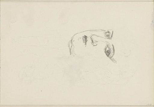 Face of a woman